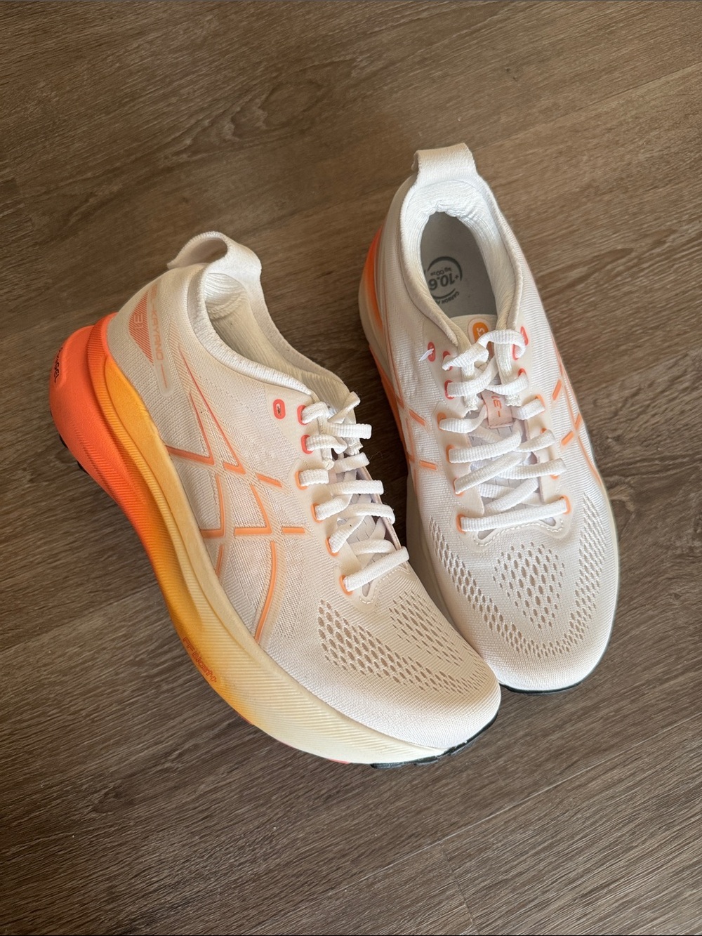 NWOT Asics Gel Kayano 31